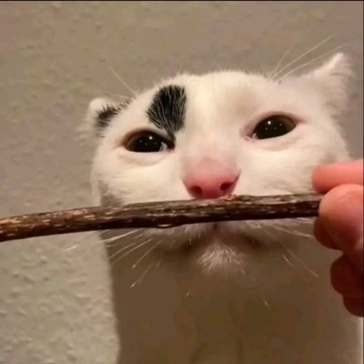 Spoonsofmilk's profile picture. 20 n mentally ill