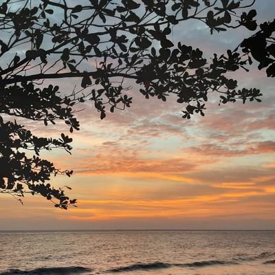 sahaweu9's profile picture. Hi