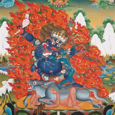 momojijisan's profile picture. 