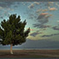 Richard Allen (@amrrlc) 's Twitter Profile