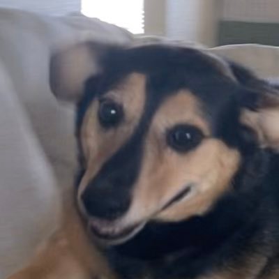 srmytt's profile picture. wassup