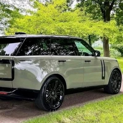 QuemoyBrayo's profile picture. Solidarity