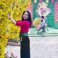 Gerbera (@xon67722632) 's Twitter Profile