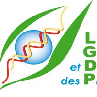 LGDP(@LGDP_Perpignan) 's Twitter Profile Photo