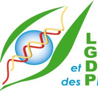 LGDP (@lgdp_perpignan) 's Twitter Profile