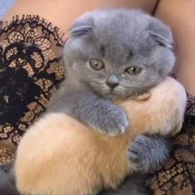 tangledwong's profile picture. 