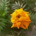 Mohir Uddin (@mohir9584) Twitter profile photo Mohir Uddin (@mohir9584) Twitter profile photo