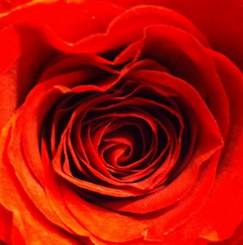 Lanno13's profile picture. 