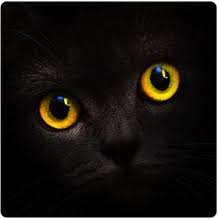 ReferEarn1's profile picture. ogonkov@noah.me #TopazTro#Follow #Bitcoin #BlueMove #Blockchain #ICO #Bounty #Airdrop #BTC #Free #Crypto #BondexIsTheFutureOfWork