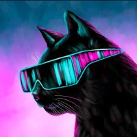 cel cat ©️° (@celcatofficial) 's Twitter Profile