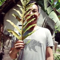 Y A Z z Z (@yazyesyaz) 's Twitter Profile