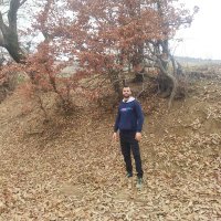 ahmad (@ahmad51208085) 's Twitter Profile