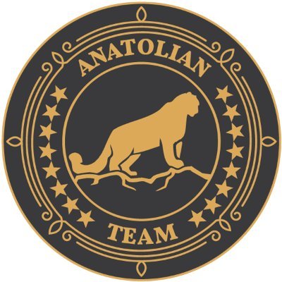 Always forward with the Anatolian Team 🐆
TG: https://t.co/jnQ89CLodl
YT: https://t.co/QgdUaRyBlb
Services: https://t.co/hPIYN3tdUl