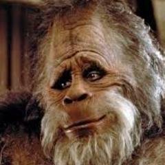 An average Sasquatch trying to help people live better lives! Need help w/ #Afrezza DM or See link below