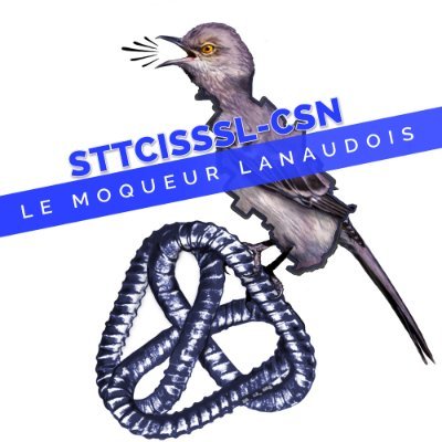 Bienvenue sur le compte du Moqueur lanaudois, profil Twitter du STTCISSS de Lanaudière-CSN pour picosser un peu l'actualité! Solidarité!