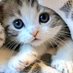 ミッチャン^._.^♥ (@arigatou881223) Twitter profile photo ミッチャン^._.^♥ (@arigatou881223) Twitter profile photo