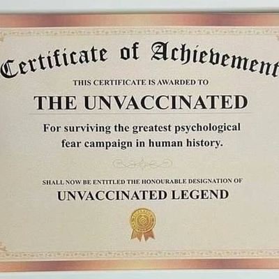 suleikavz's profile picture. 