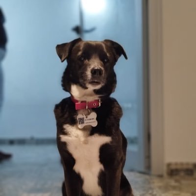 Meriitiis's profile picture. 