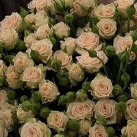 امل الحياة (@mlly102) 's Twitter Profile