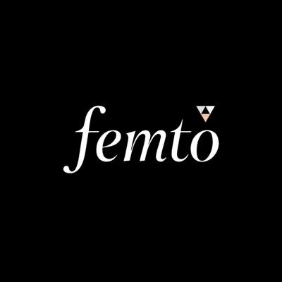 femto portfolio Profile