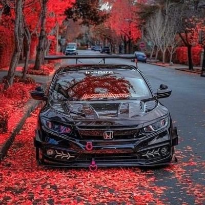 kayela_isaya's profile picture. Information technology is my favorite job