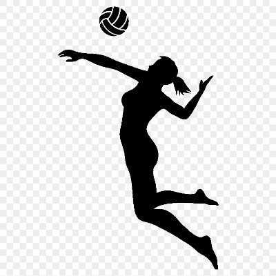 LIBEROS - PINS - SETTERS - MIDDLES