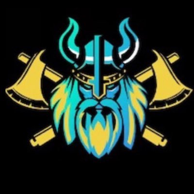 HVille_Vikings Profile Picture