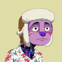 Shandra Corkery (@corkeryshandra) 's Twitter Profile