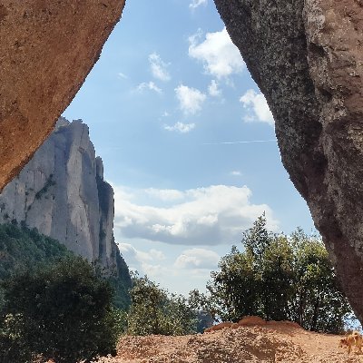 Tot tornà a començar el Primer d'octubre.

Sense Estat per culpa dels traïdors processistes que encara ens governen.