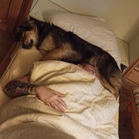Sleepfuss (@st3iffuss) 's Twitter Profile