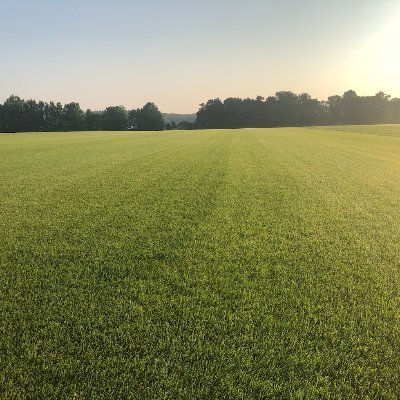 Sod Producer of quality grown turf in Tn