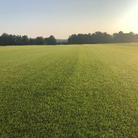 Tri-Turf Sod (@turfsod) 's Twitter Profile