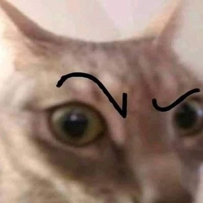 blahさんのプロフィール画像