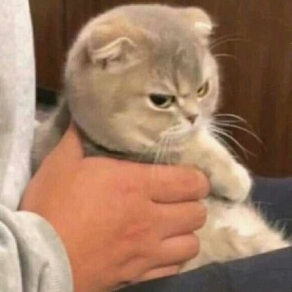 blimpyouo's profile picture. 