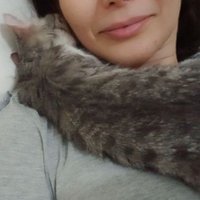 🐈کیتی گالور🐈⬛ (@kittygalore2021) 's Twitter Profile