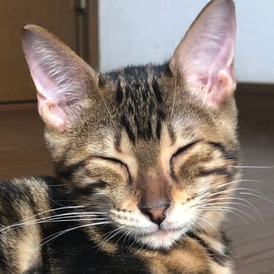 Qqq38q's profile picture. 