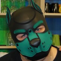 pupp_arlo (@pupp_arlo) Twitter profile photo