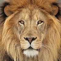 🟨 T h o r s t e n (@sciencethorsten) 's Twitter Profile