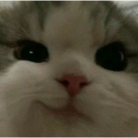 dzuhhhh-yuhhhn (@fruitydayyay) 's Twitter Profile Photo dzuhhhh-yuhhhn (@fruitydayyay) 's Twitter Profile Photo