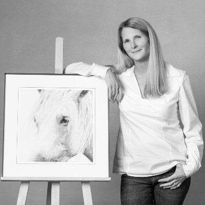 Karen Bennett is a Professional Photographer specialising in Equine and Pet Photography
