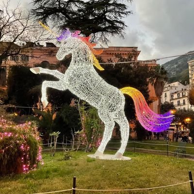 @RosaNavarra2