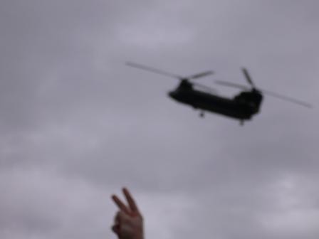 casshout's profile picture. FAST CARS DANGER FIRE AND KNIVES