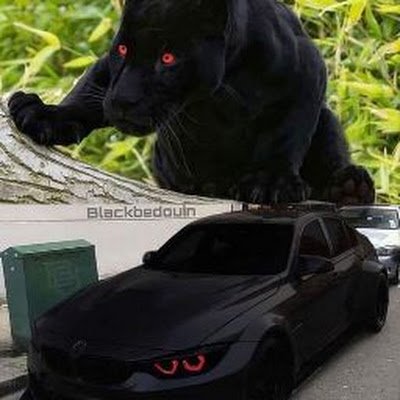 RaquelH38725110's profile picture. 