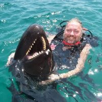 Raymond Arnold (@raymond32518180) 's Twitter Profile Photo