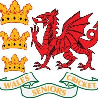 Wales Over 40s Cricket(@walesover40s) 's Twitter Profile Photo