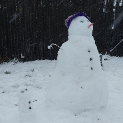 vseyag's profile picture. 