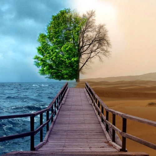 SouthboroDave's profile picture. 