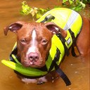 Jillian Conner - @Jillianconner - Twitter