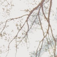白@取引垢 (@shiro_00605) 's Twitter Profile Photo 白@取引垢 (@shiro_00605) 's Twitter Profile Photo