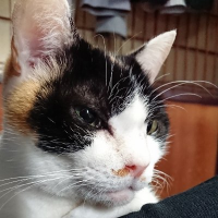赤肩の人🍚 (@itrc9t5mtzilaka) 's Twitter Profile